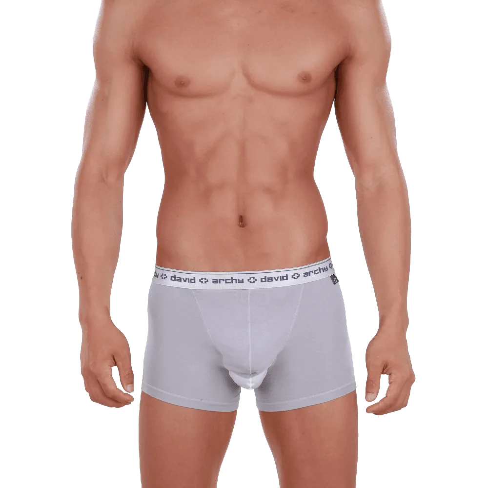 David Archy Men's 4 Pack Micro Modal Separate Pouch Trunks